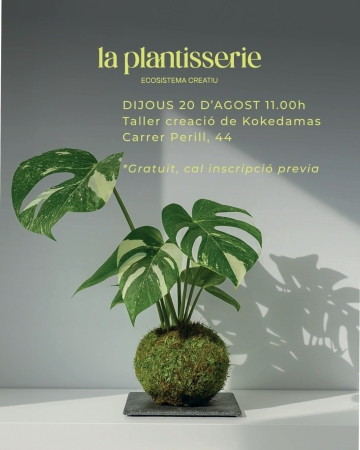 Creació de Kokedamas amb La Plantisserie